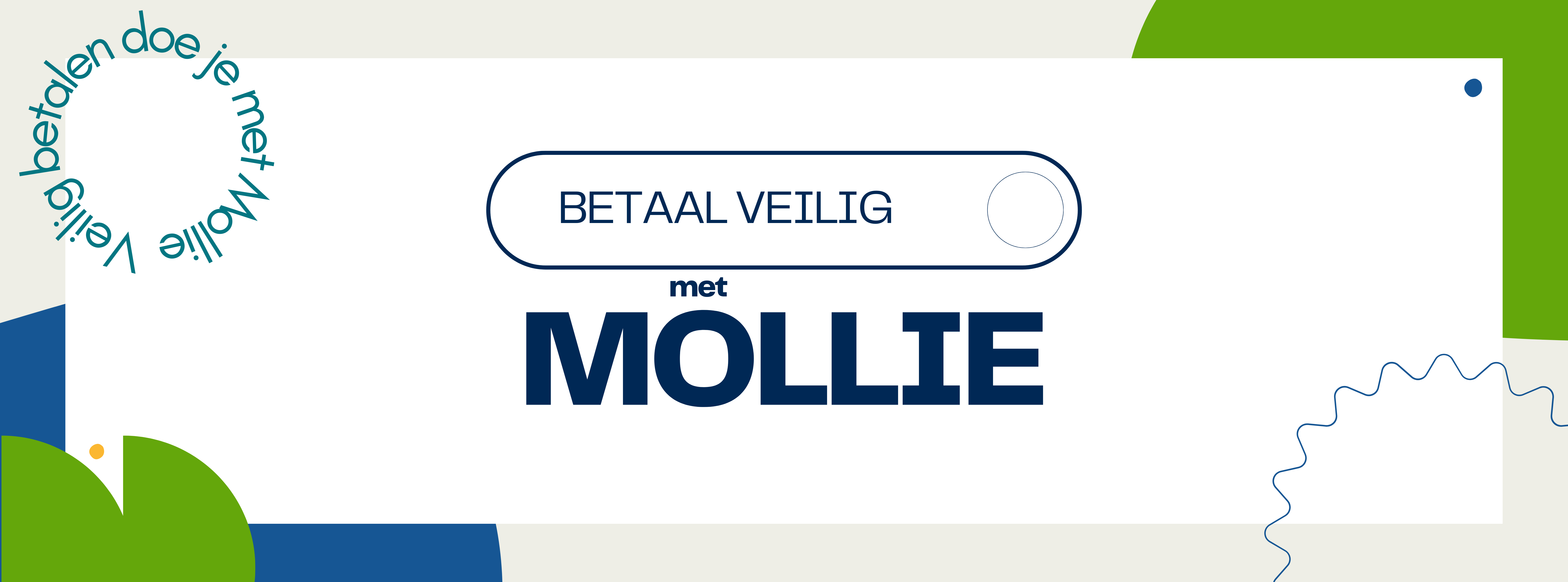 MOLLIE_betaling_afbeelding