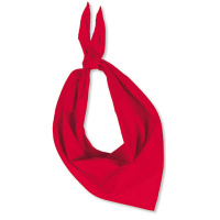 sjaal-rood_633244290