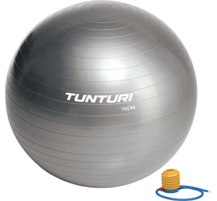 1563575_gymbal_tuntur1_zilver