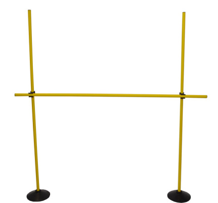 15650-springset-leba-sporten-met-plezier