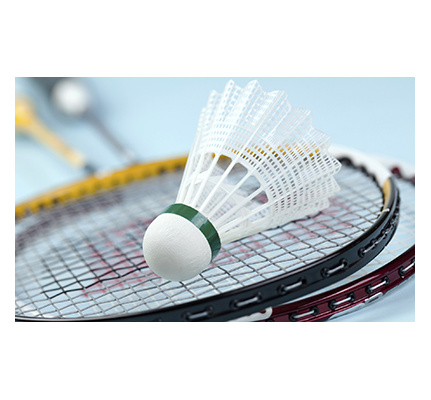 Badmintonnetten | 3 op 1 lijn