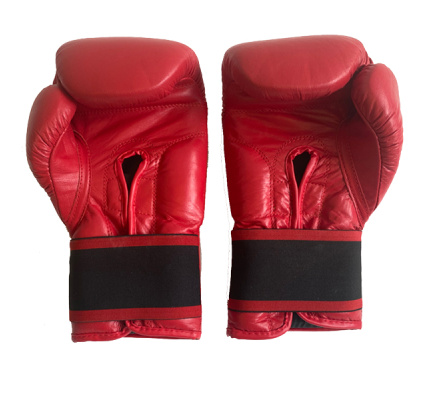 bokshandschoen-warrior-leba-sport-achterzijde