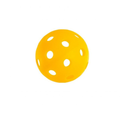 sport_pickle_ball_6