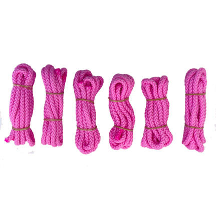 springtouw-roze-lebasport