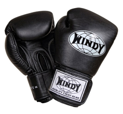 windy-bgv-black-x-removebg-preview_1800x1800