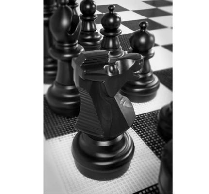 xxxl-groot-schaakspel-tuinschaken-2-delig-uv-besch-2